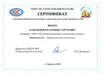 сертификат Кашлева Е._page-0001